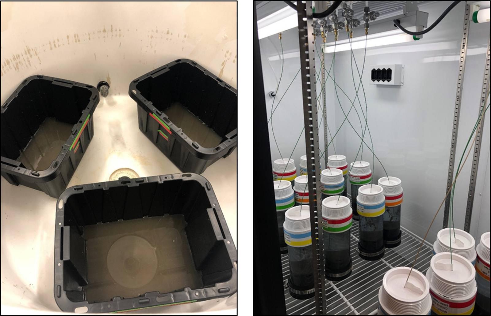 Acrylic tubes and large plastic bins holding sediment and water during the muck digester pellet experiment.